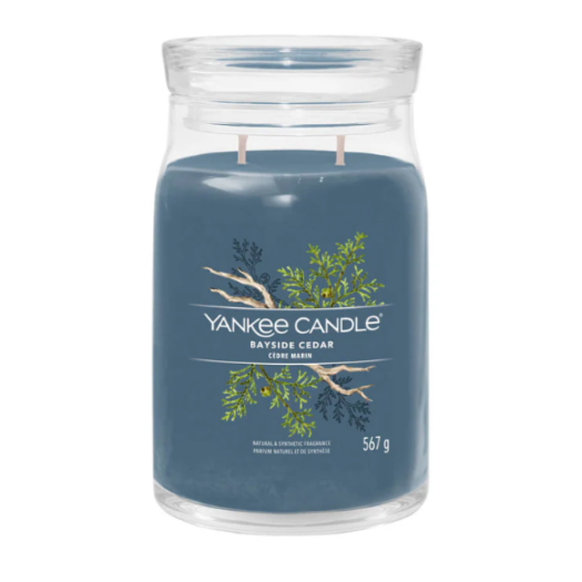 Yankee Bayside Cedar Candle, 567g