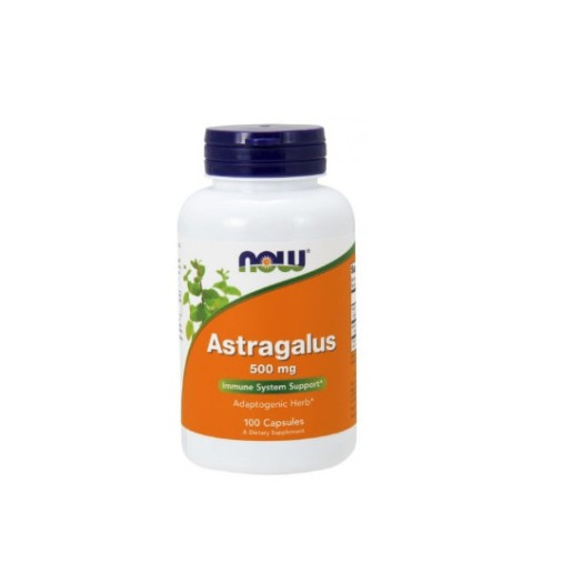 Now Astragalus Extract 500mg, 90 pcs