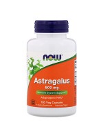 Now Astragalus 500 mg, 100 Capsules